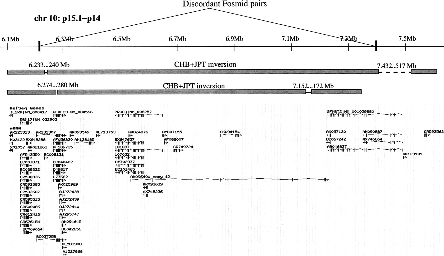 219fig4