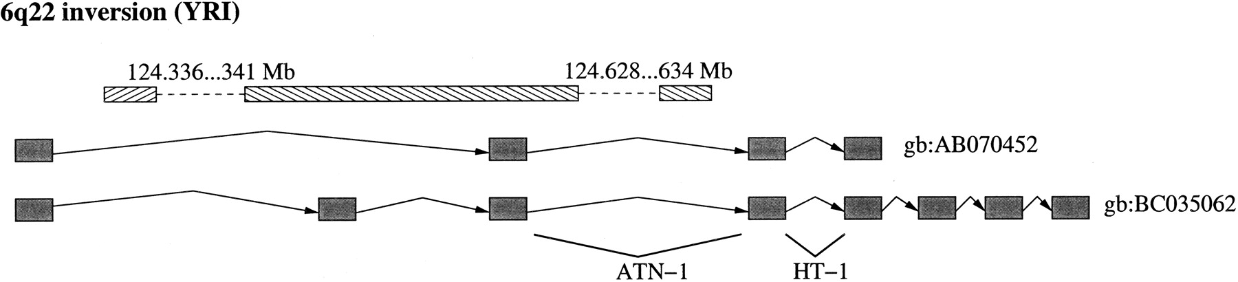 219fig5