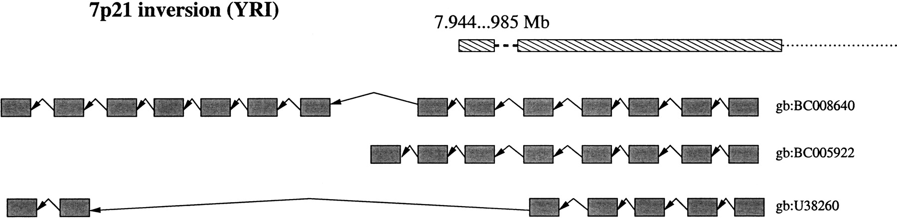219fig6