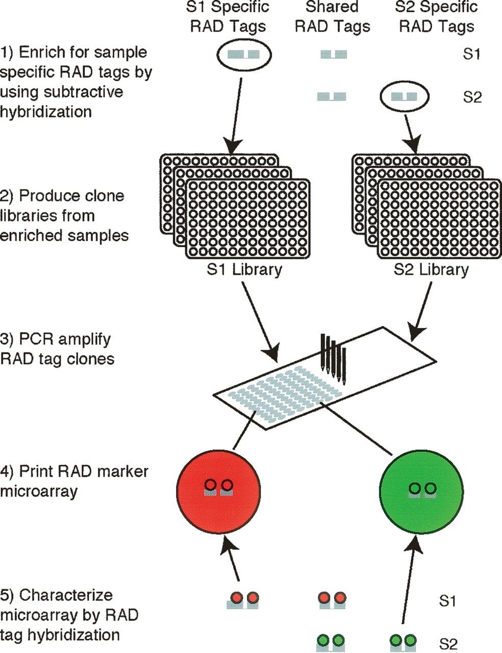 240fig3