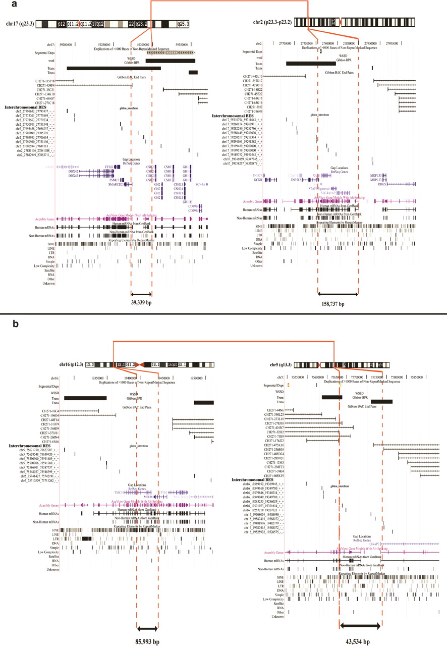 249fig3