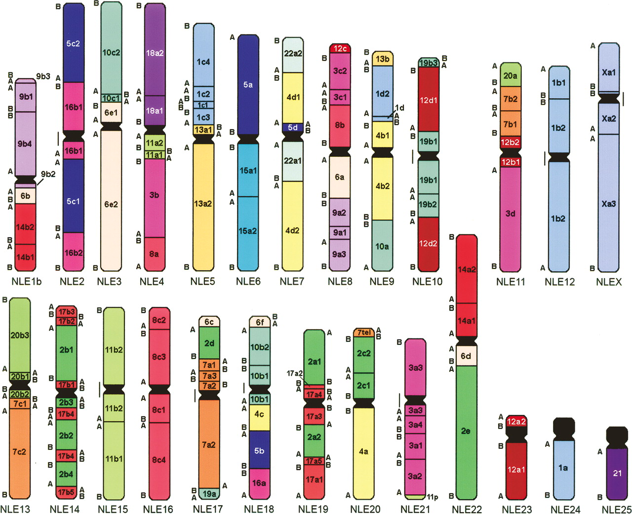 249fig4