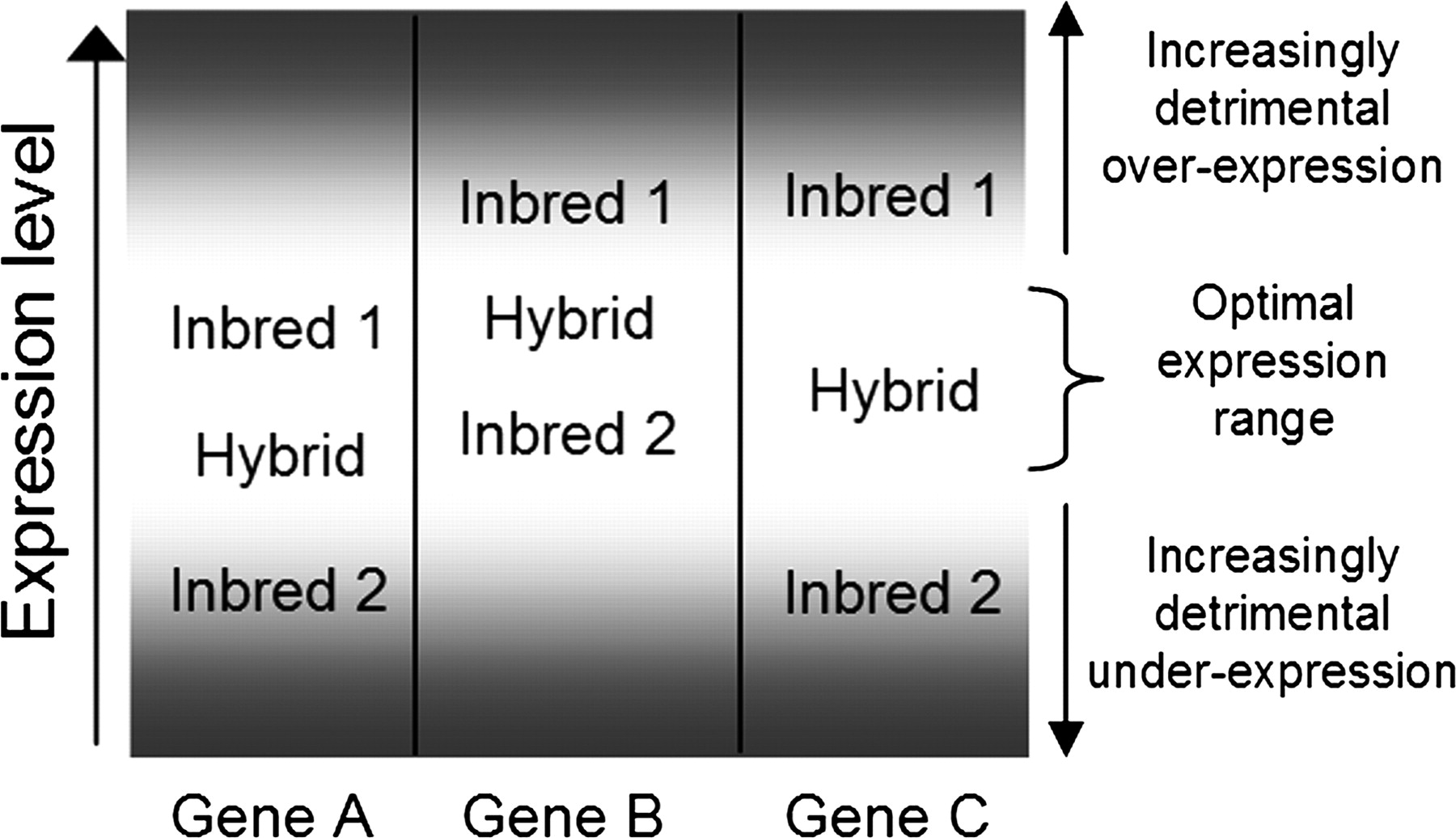 264fig4