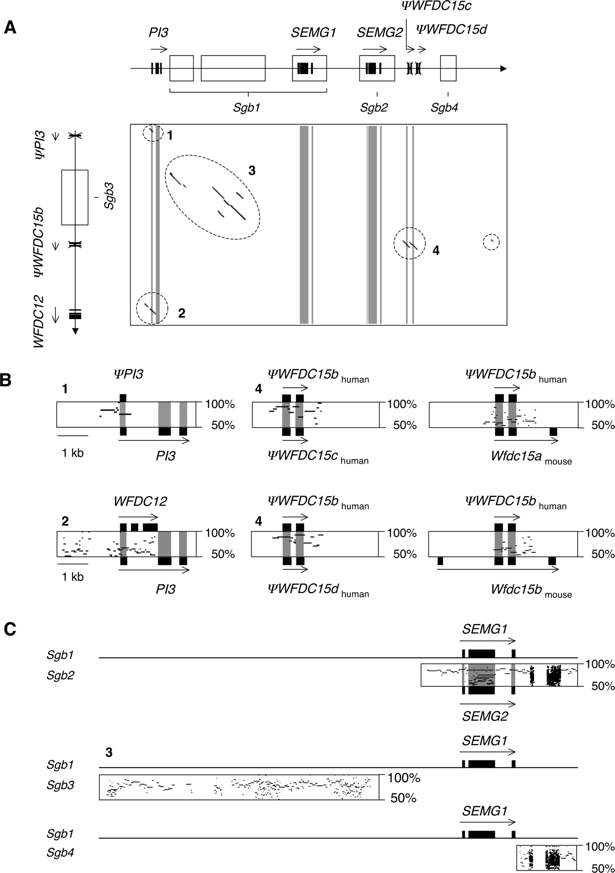 276fig2