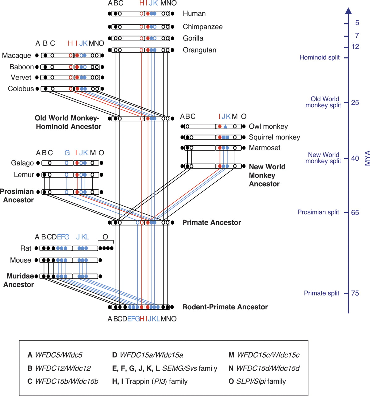 276fig4