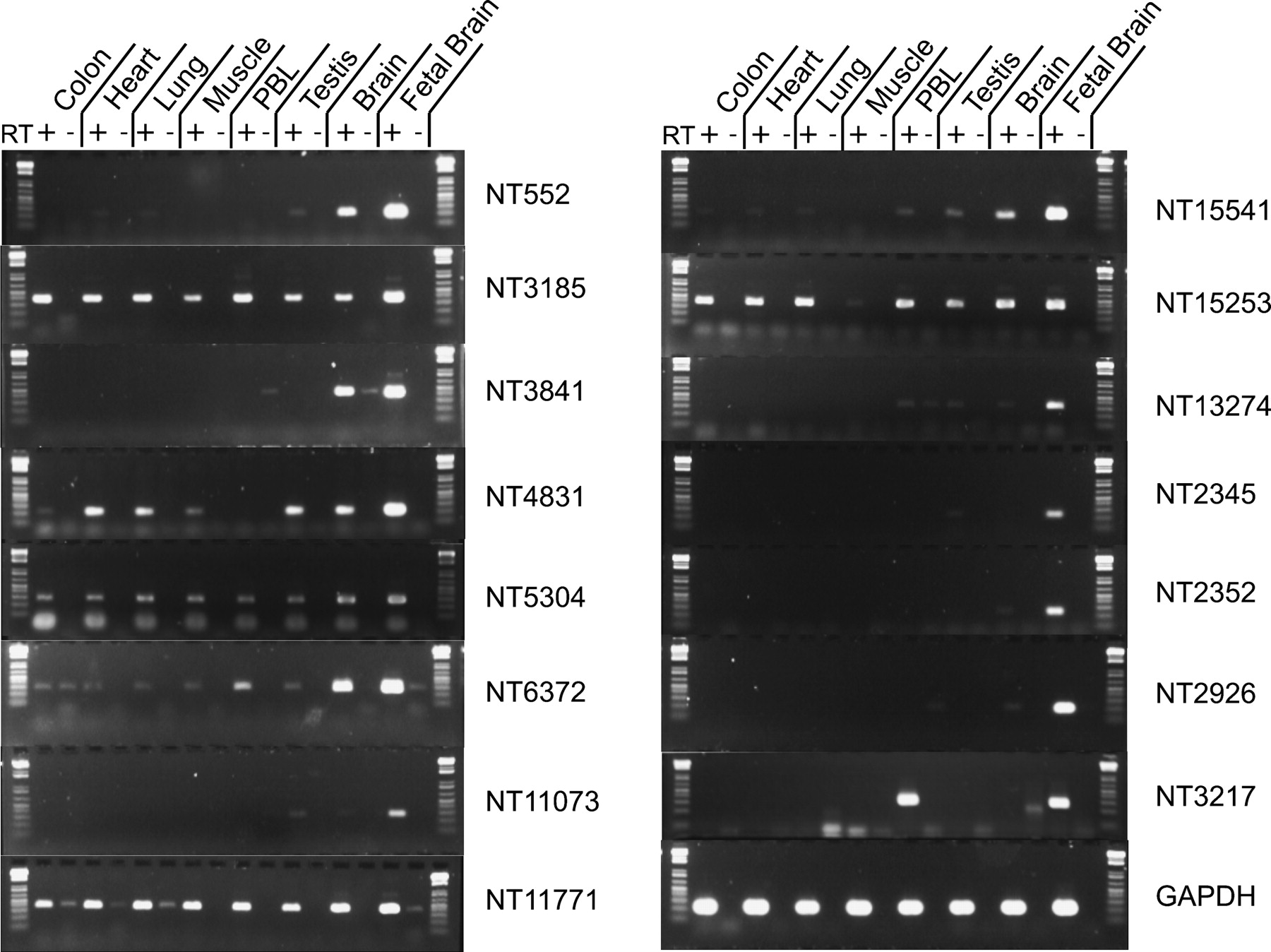 287fig2
