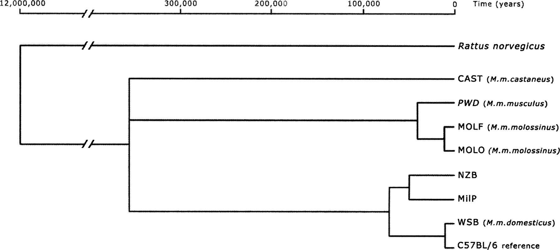 293fig1