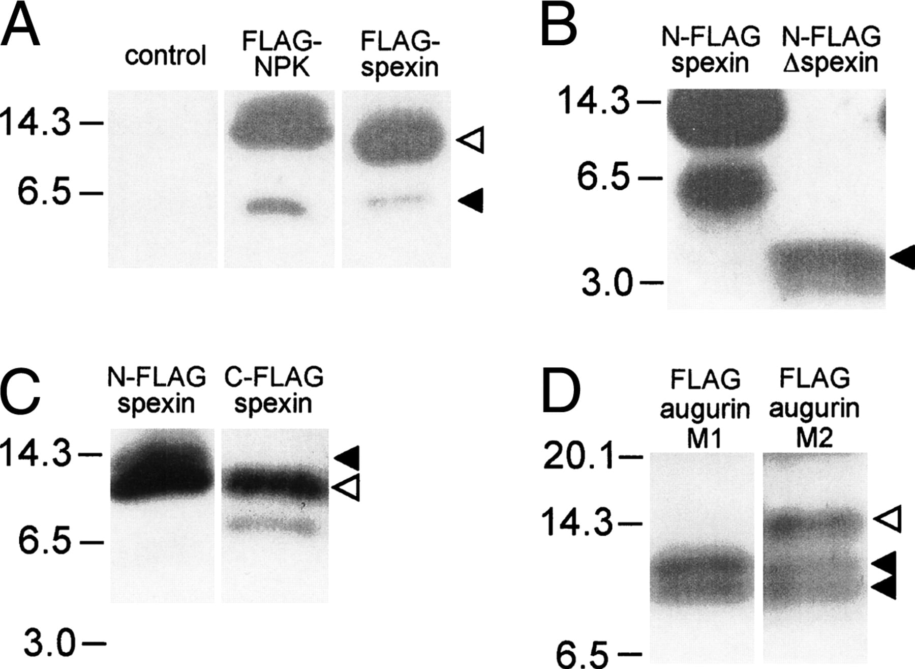 320fig5