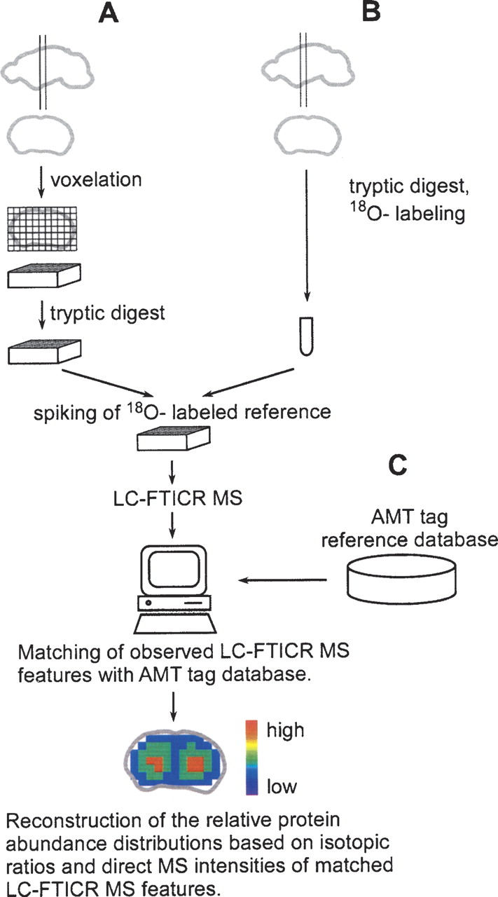 328fig1