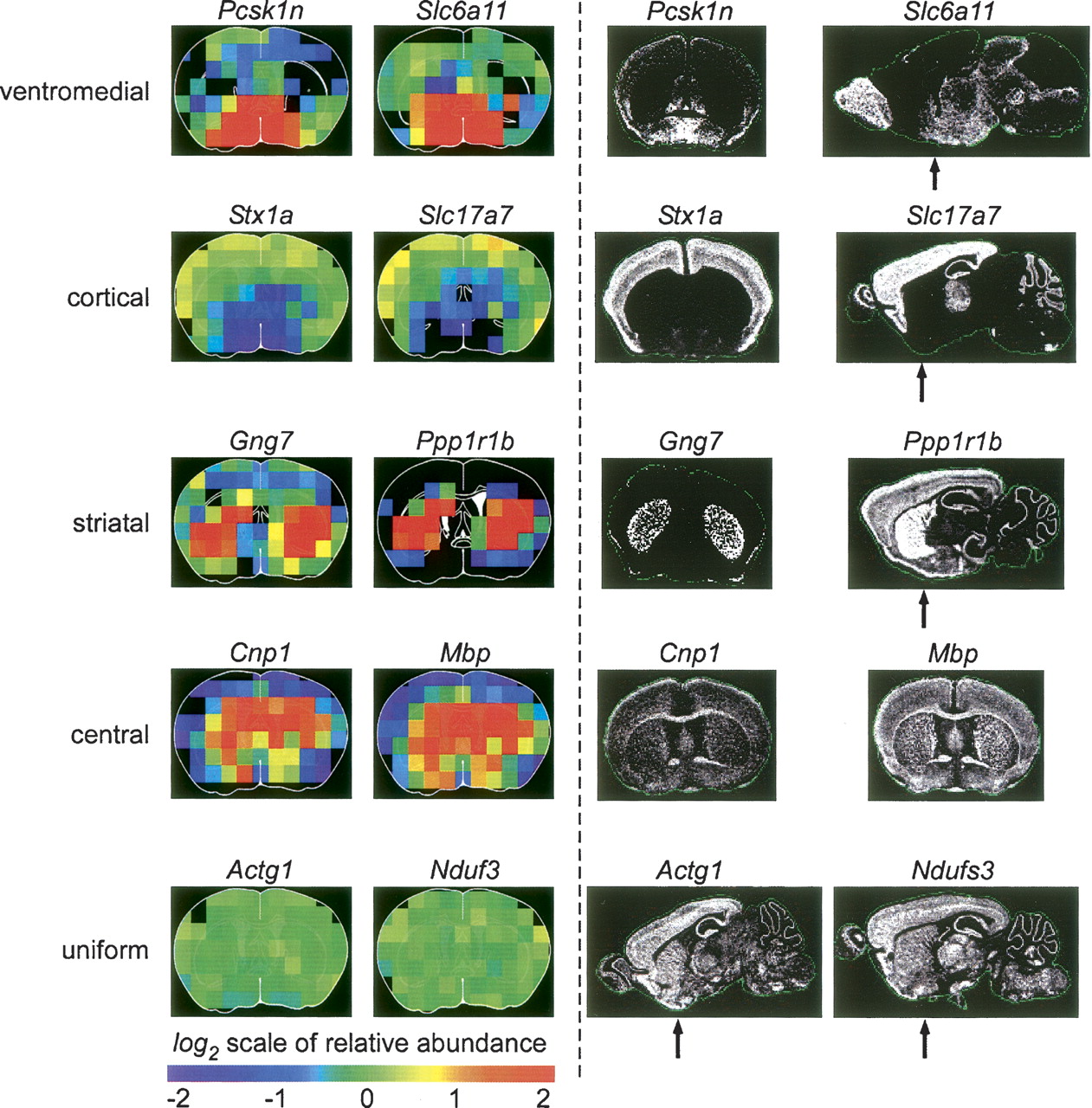 328fig3