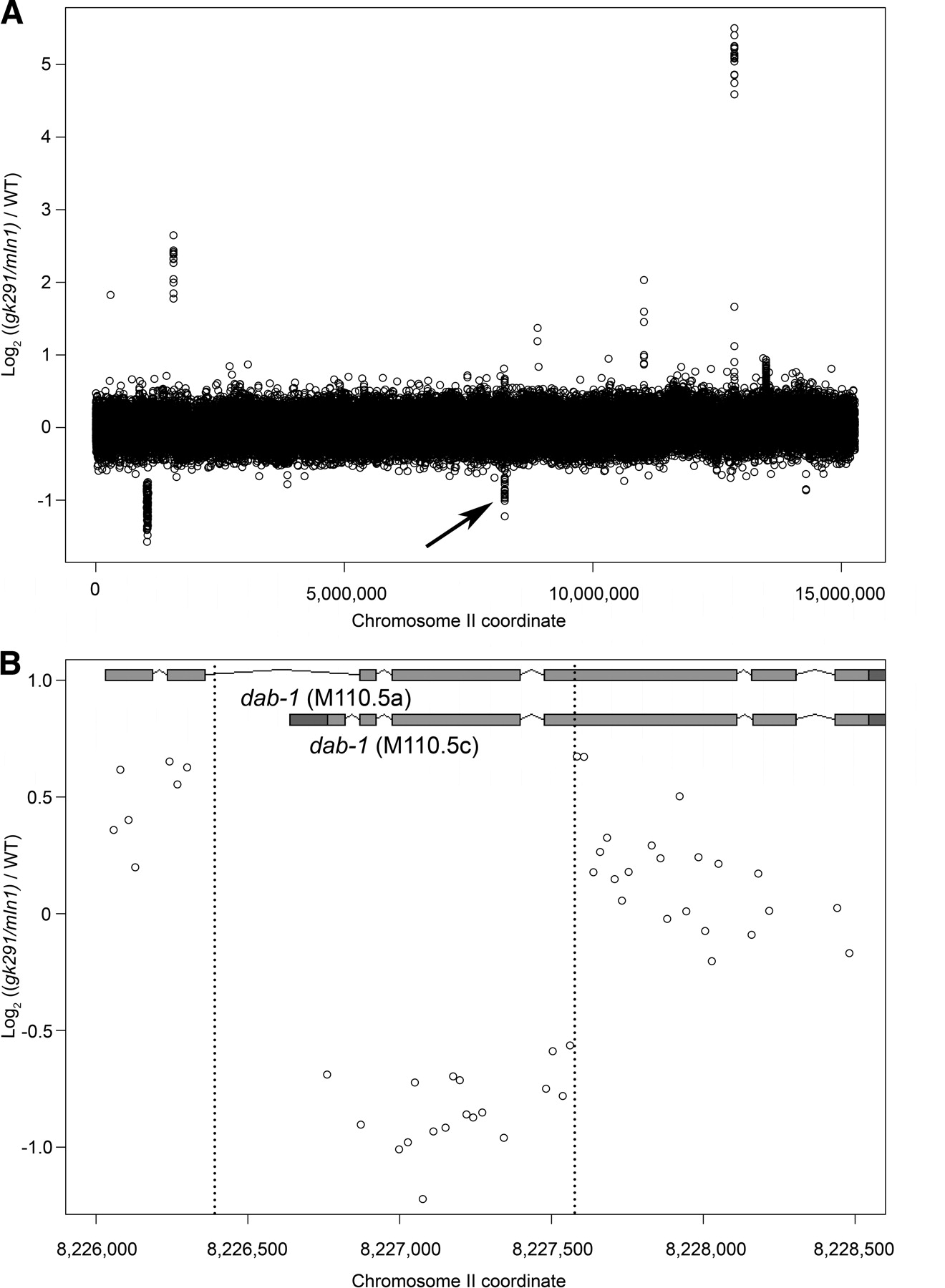 337fig4