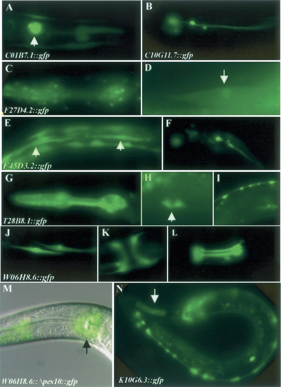 348fig3