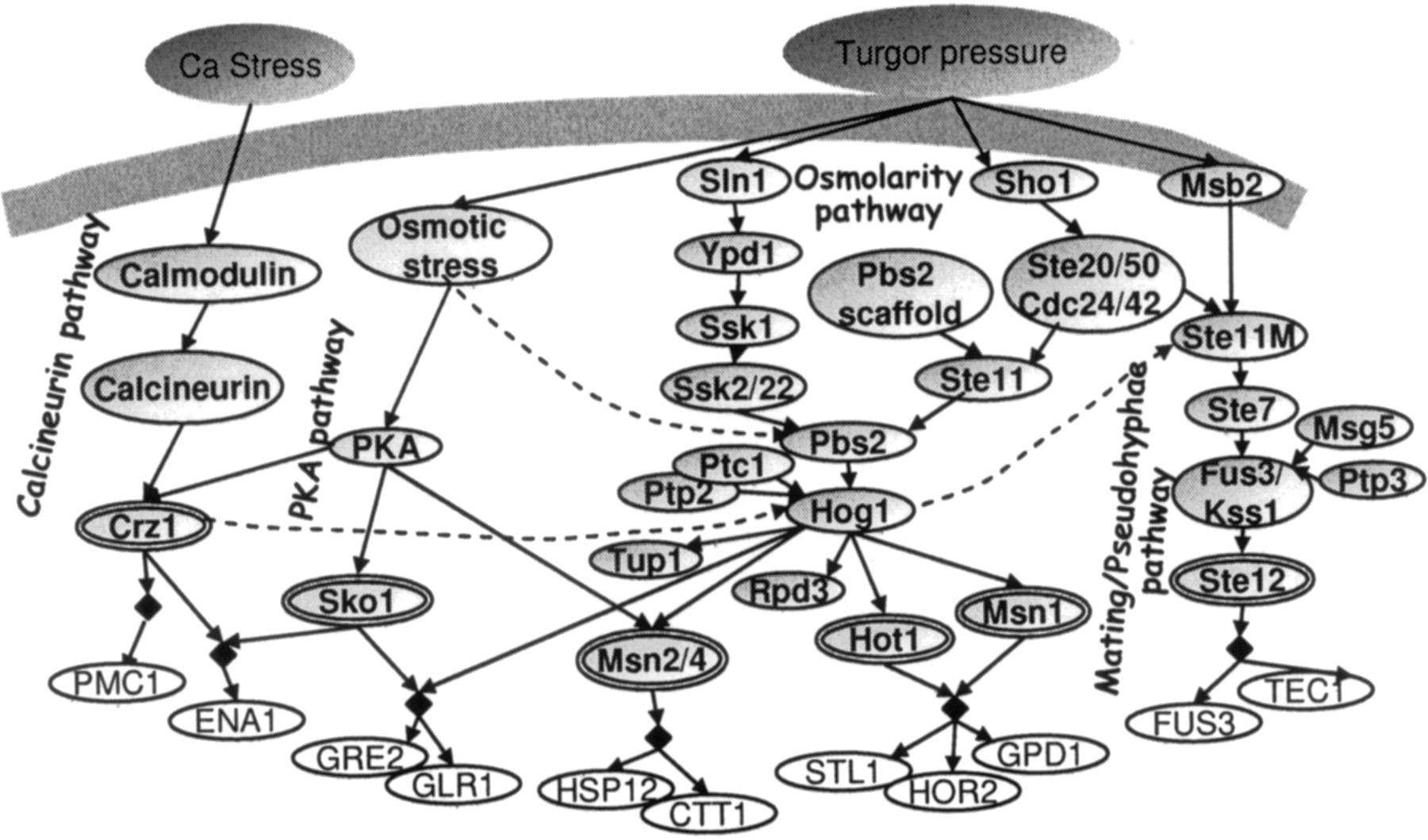 358fig3