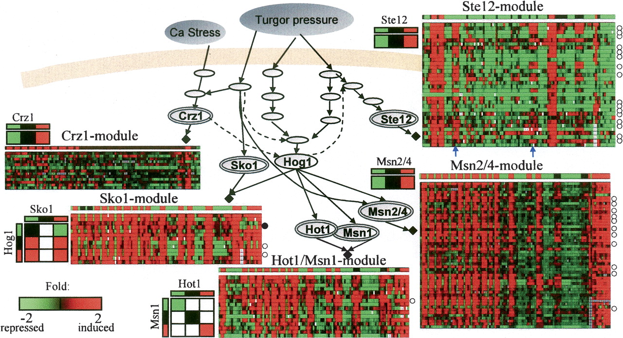358fig4