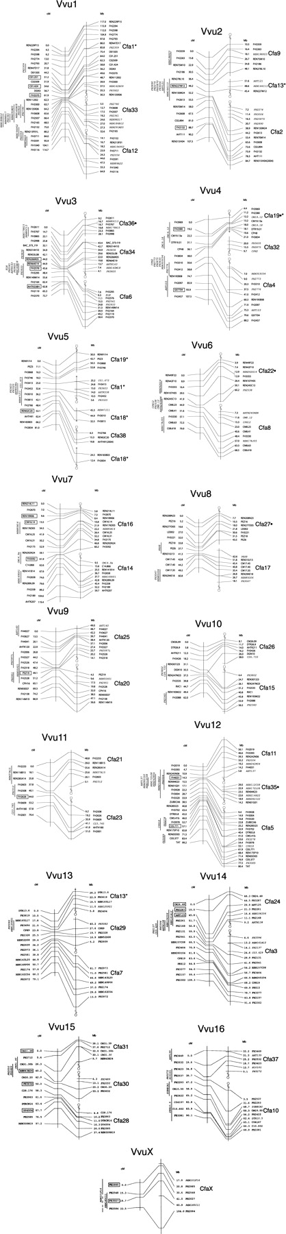 387fig1