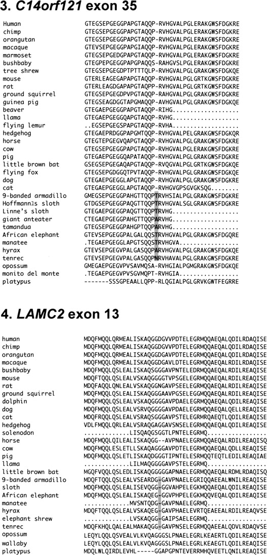 413fig4