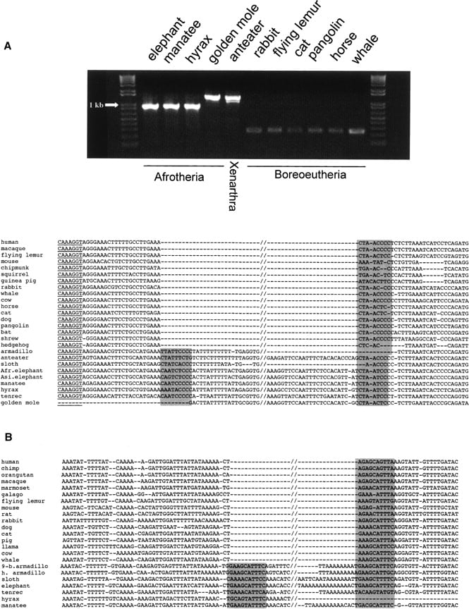 413fig5
