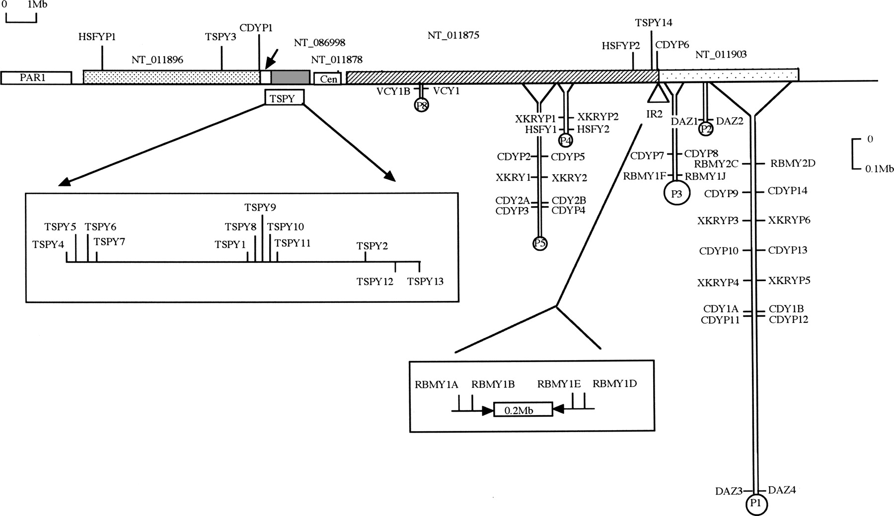 441fig1