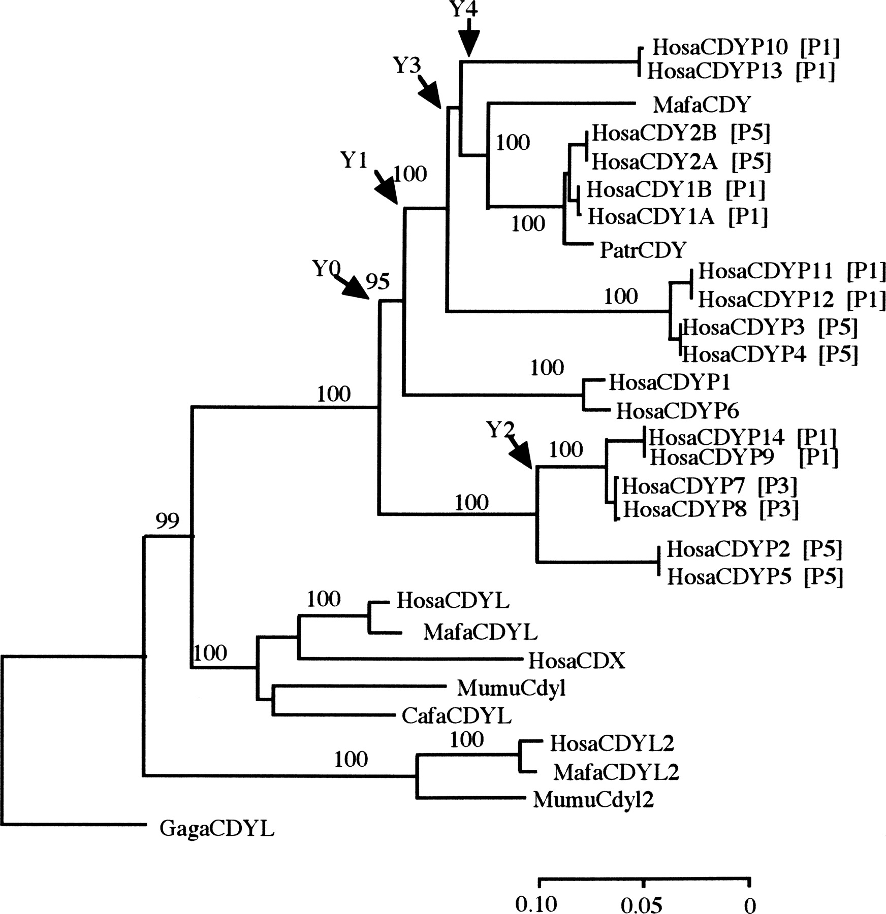 441fig4