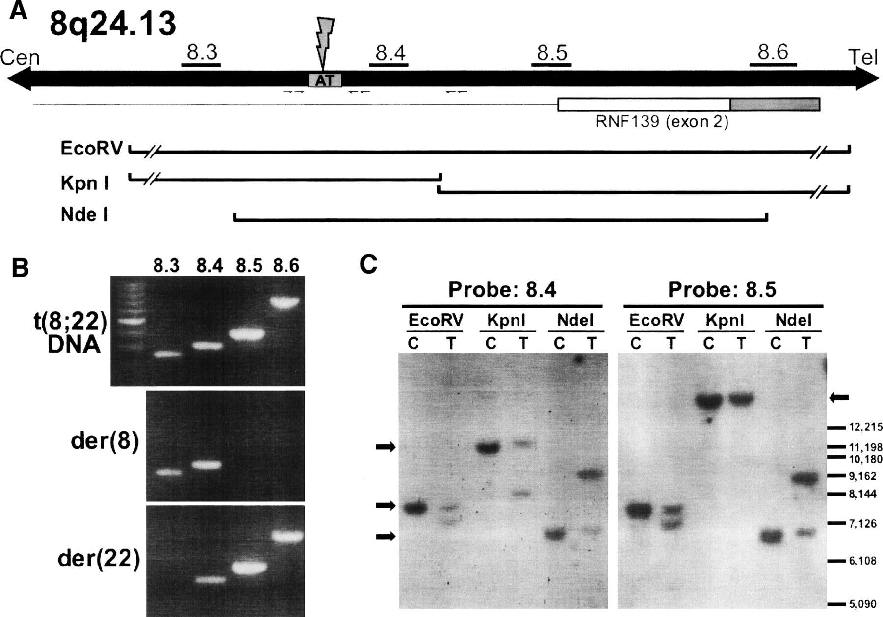470fig4