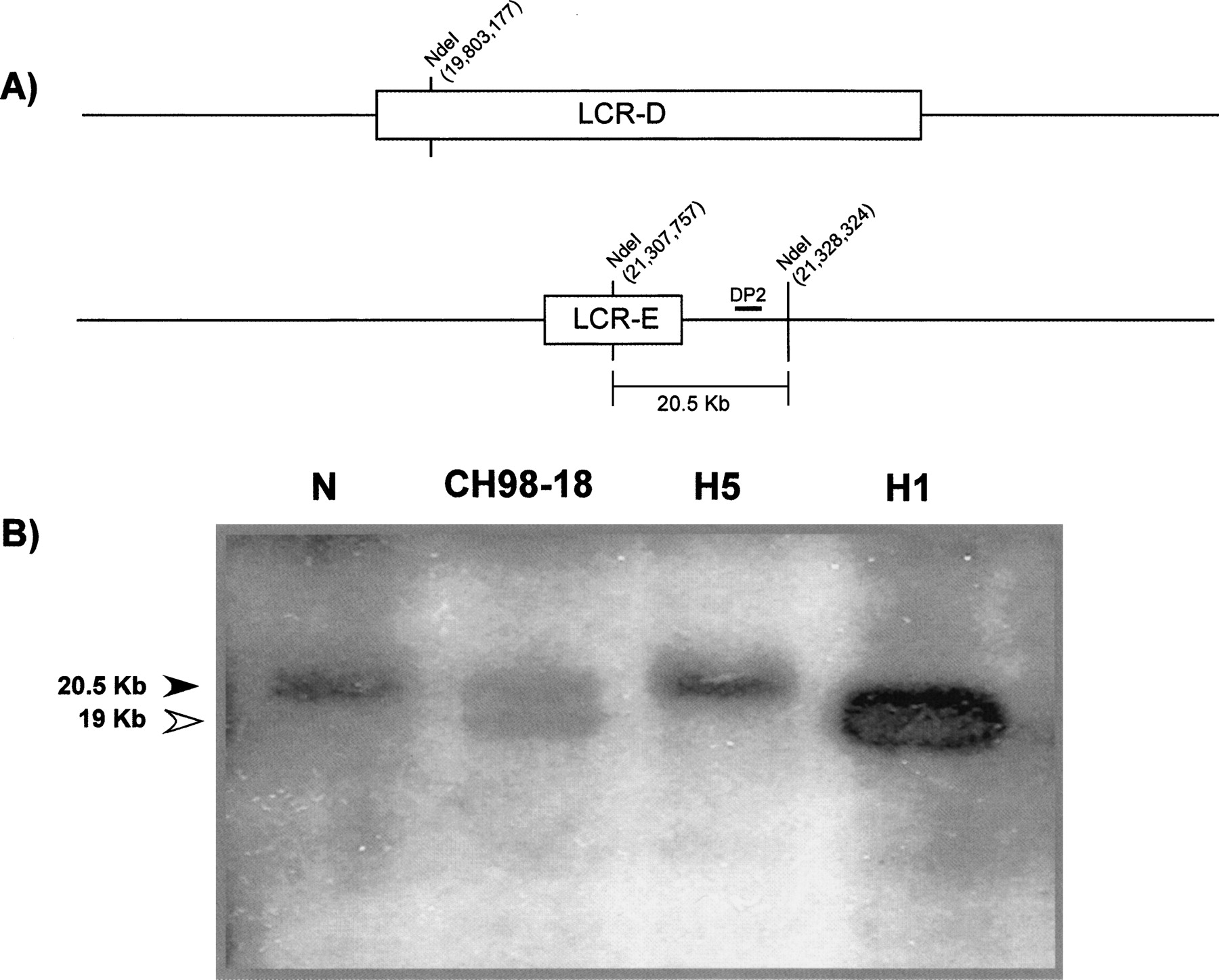 482fig3