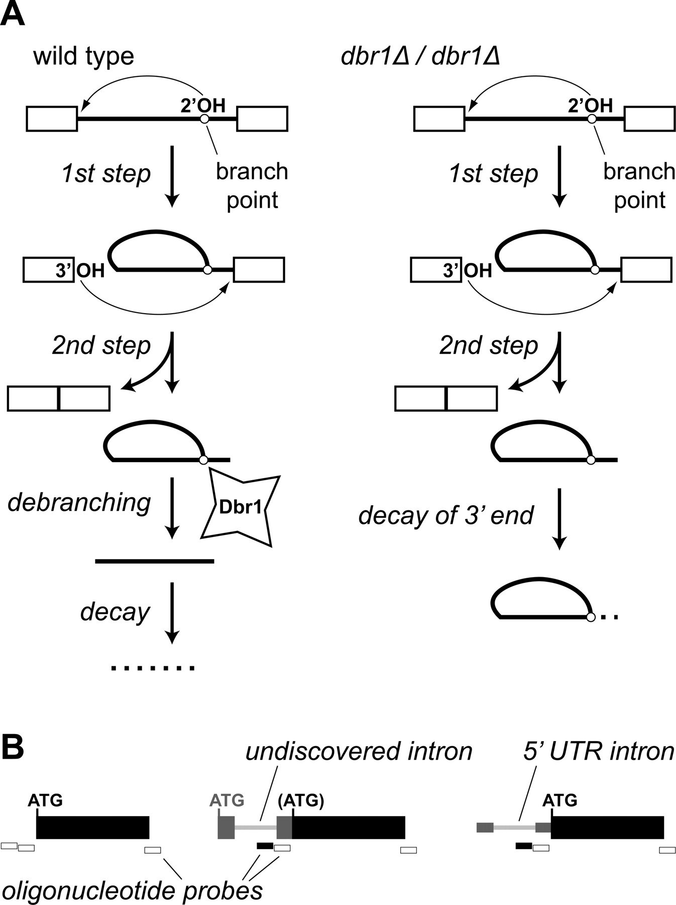492fig2