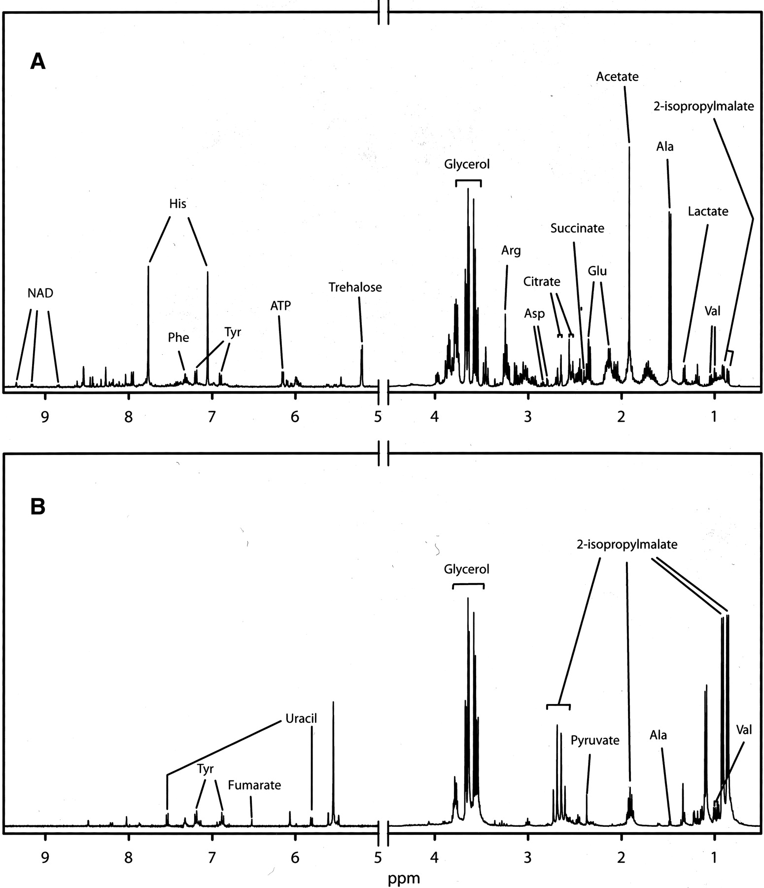 510fig2