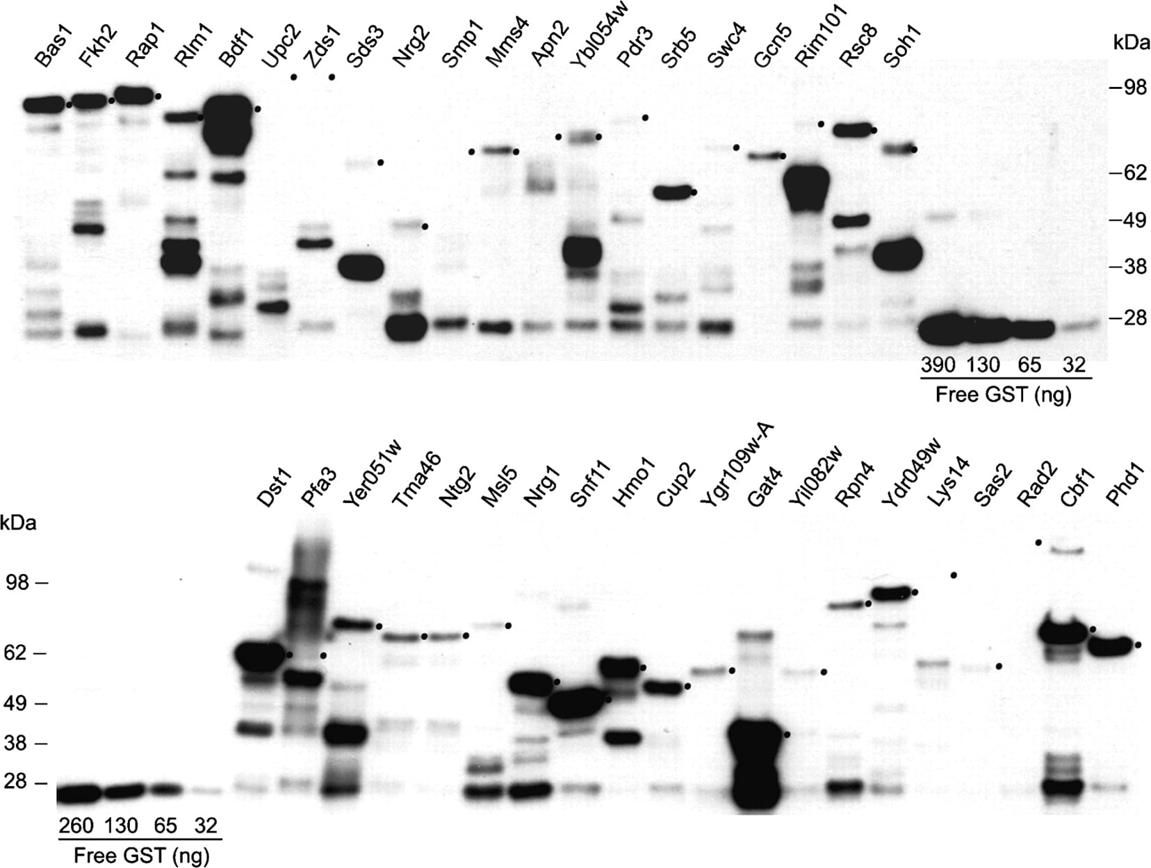 536fig3