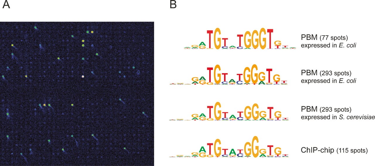 536fig4