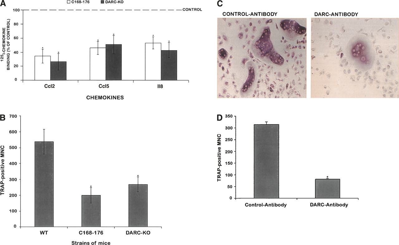 577fig4