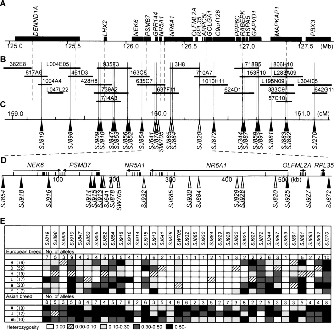 586fig2