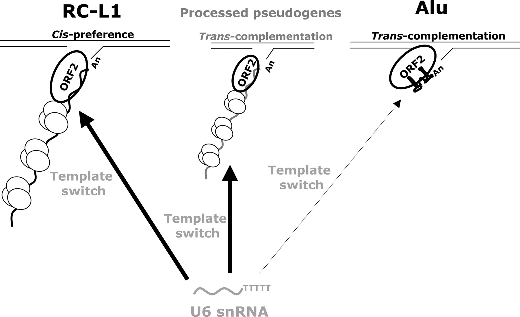 602fig4