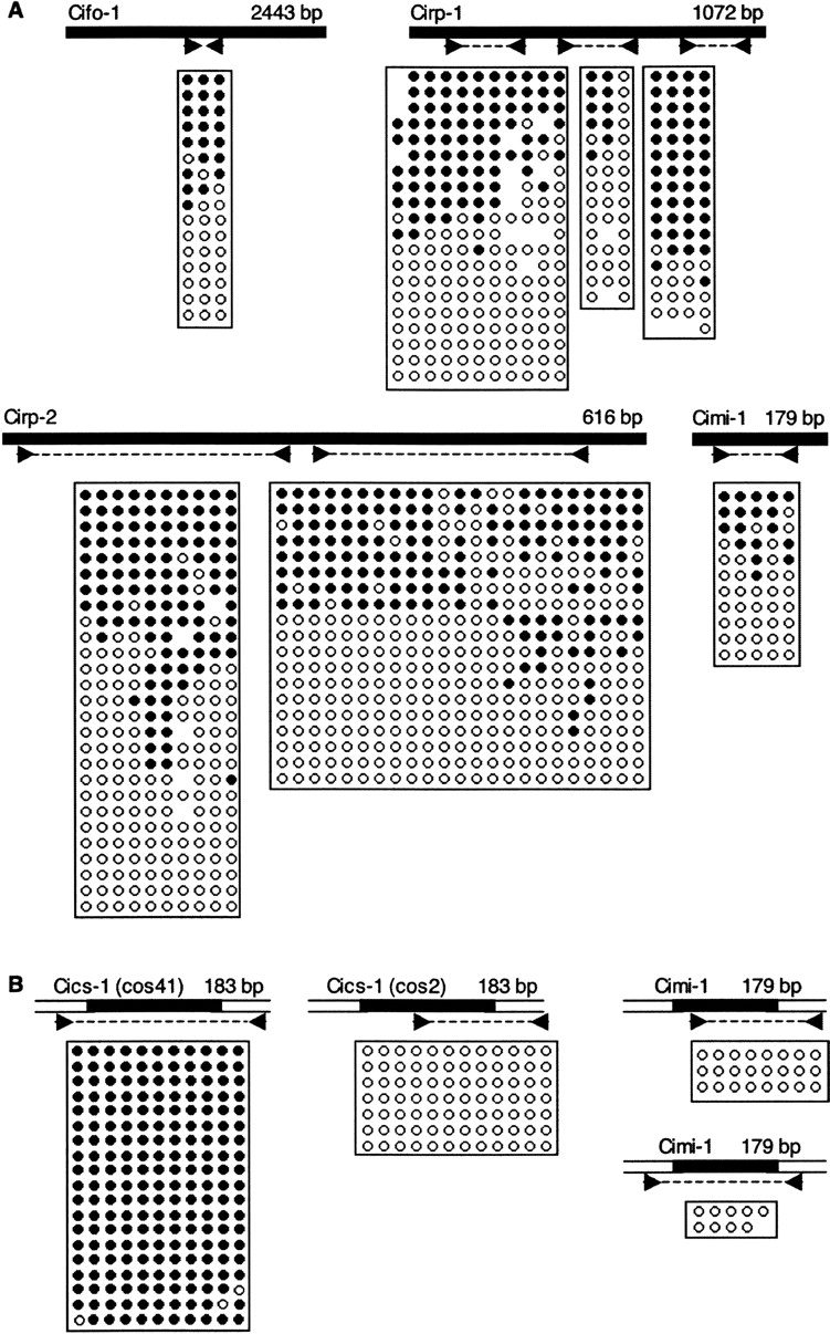 625fig4