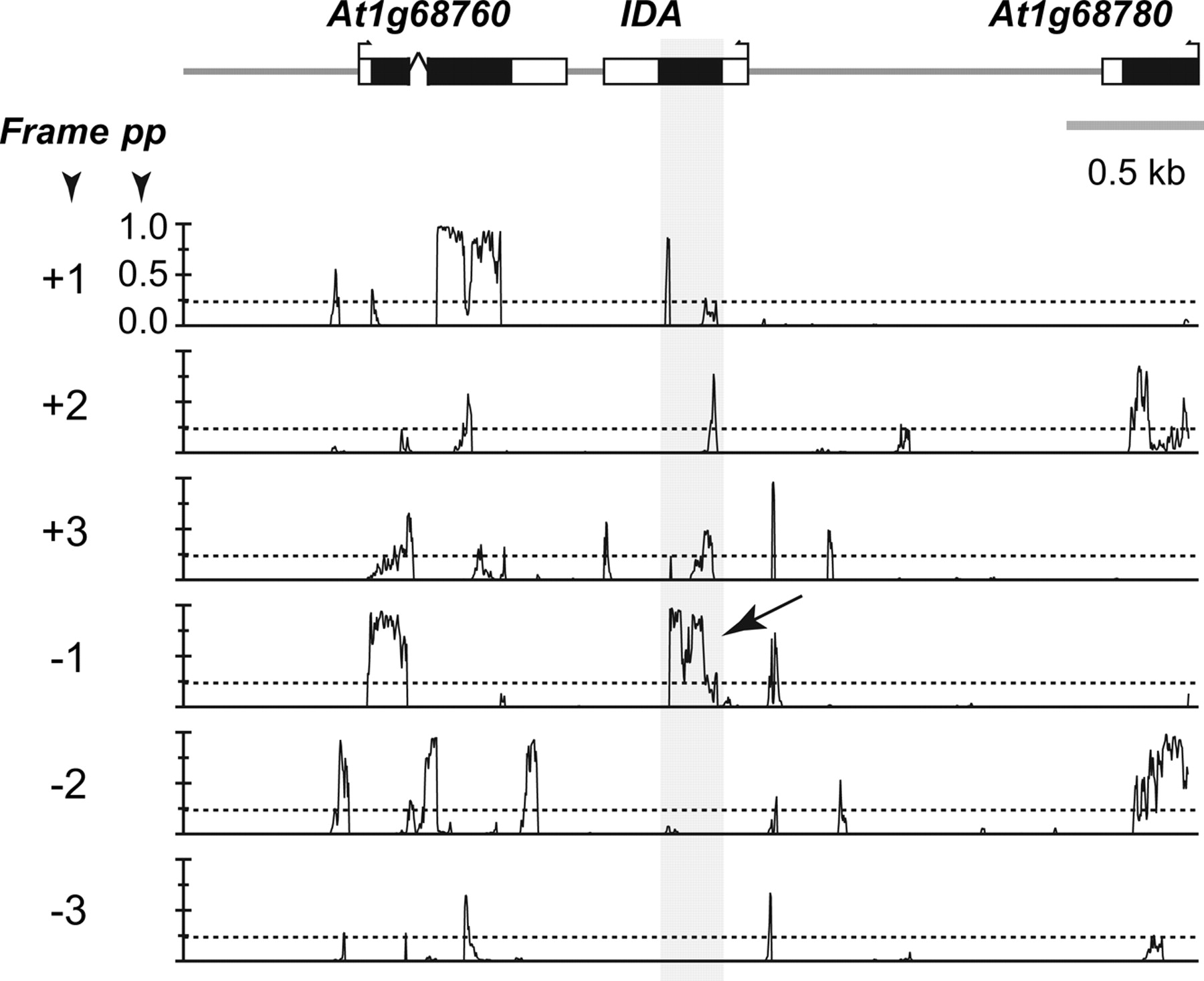 632fig3