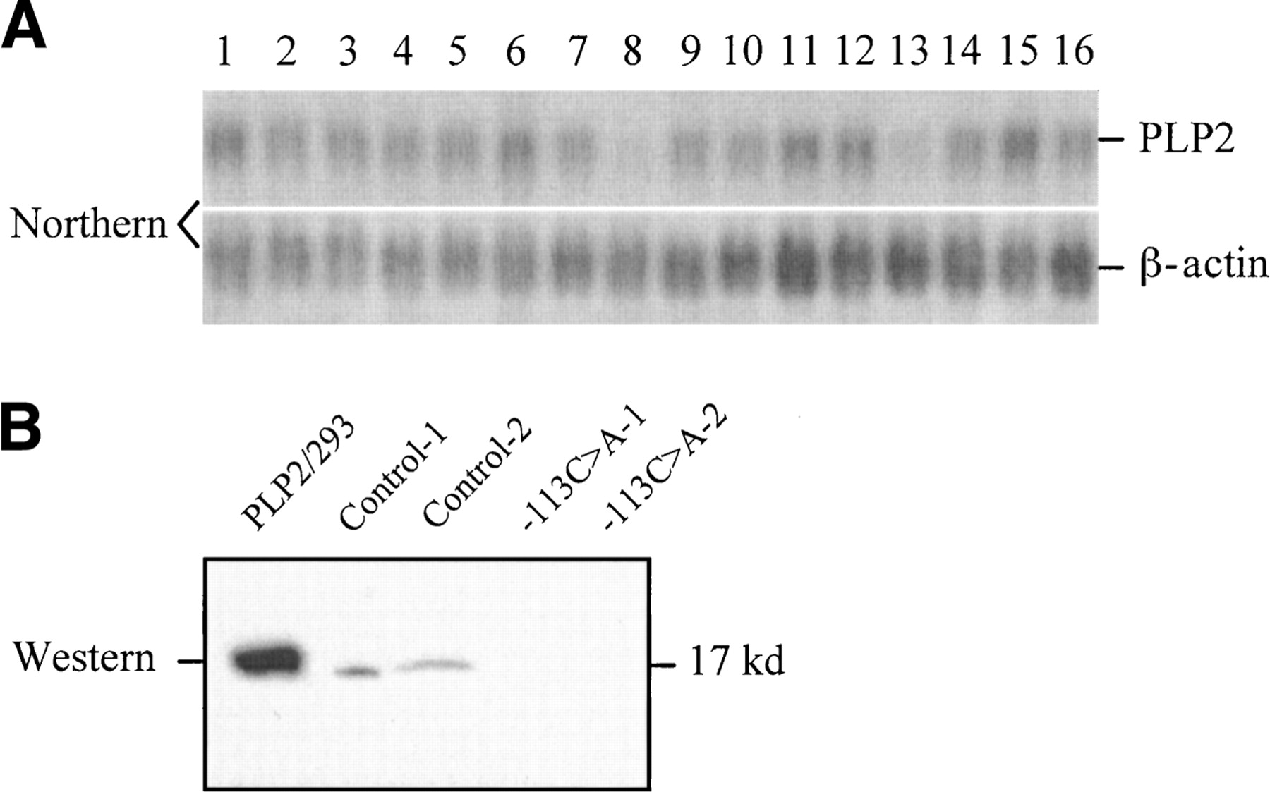 641fig2