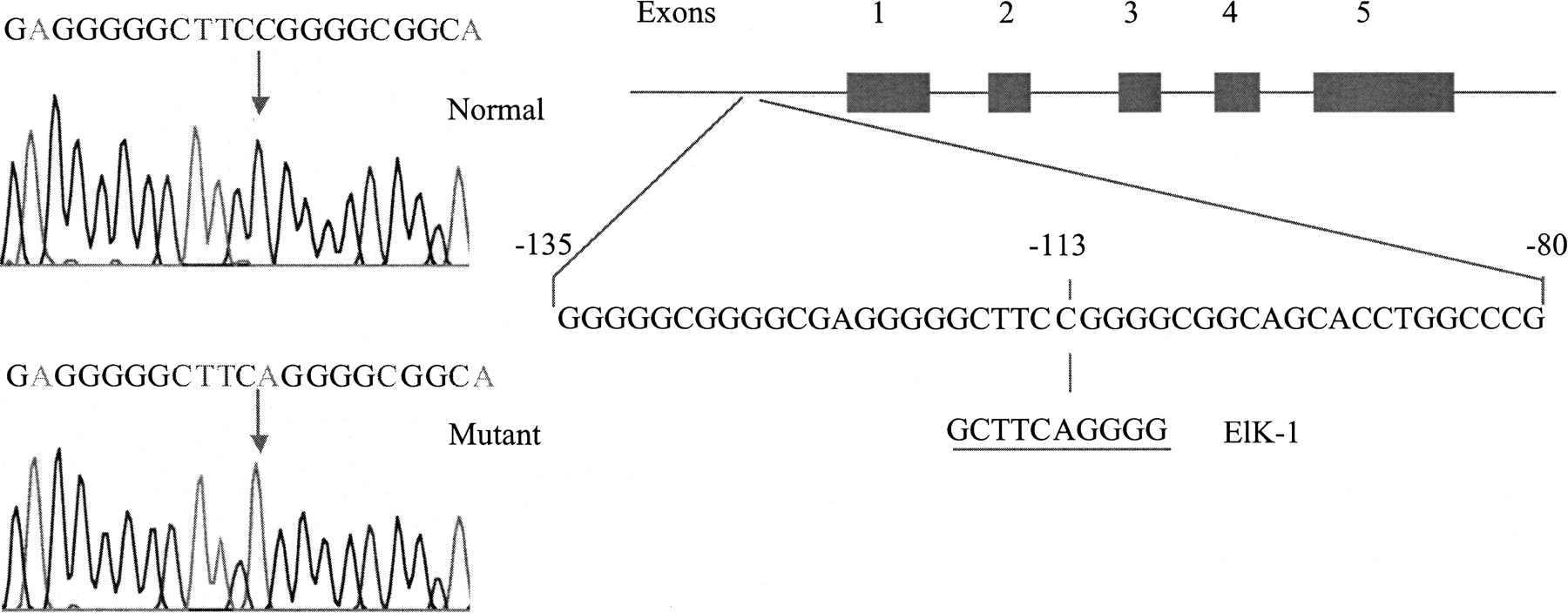 641fig3