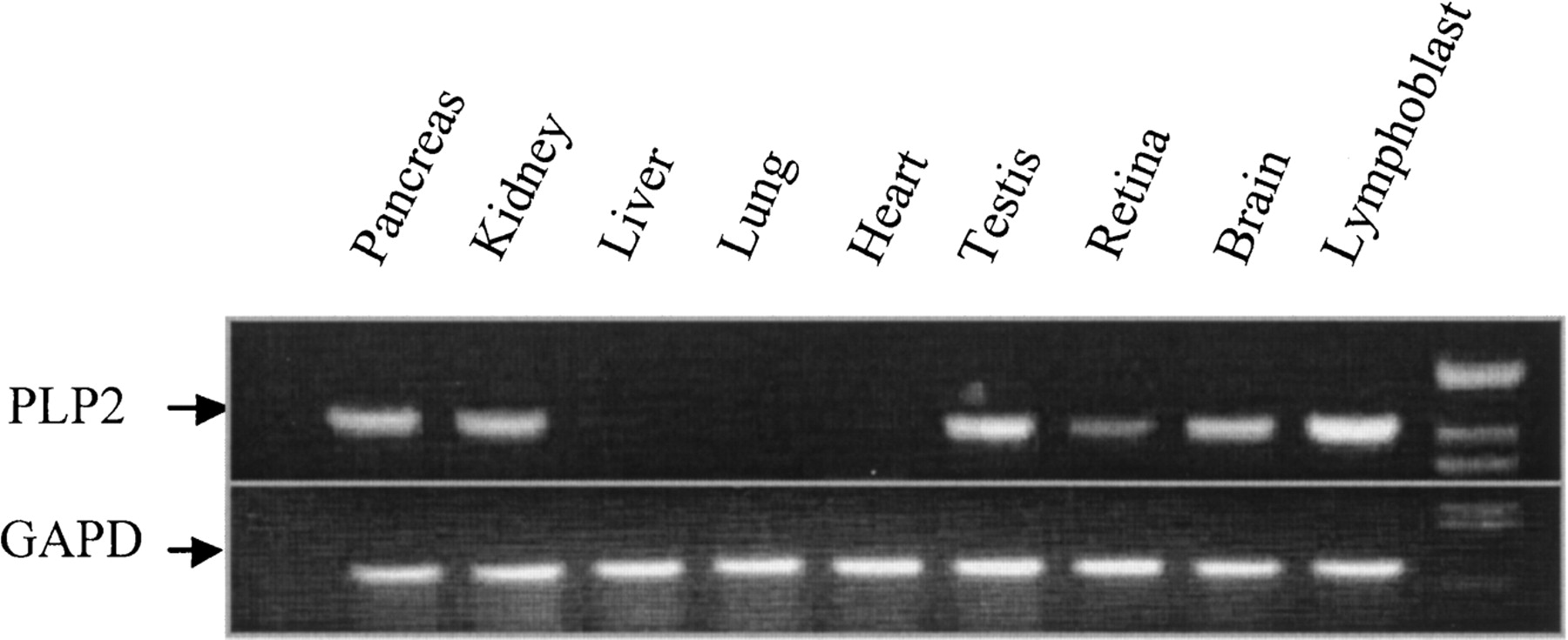 641fig6