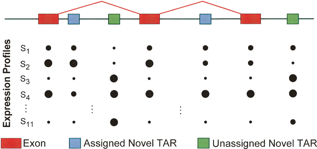 732fig4