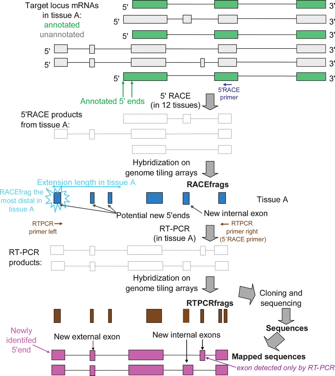 746fig1