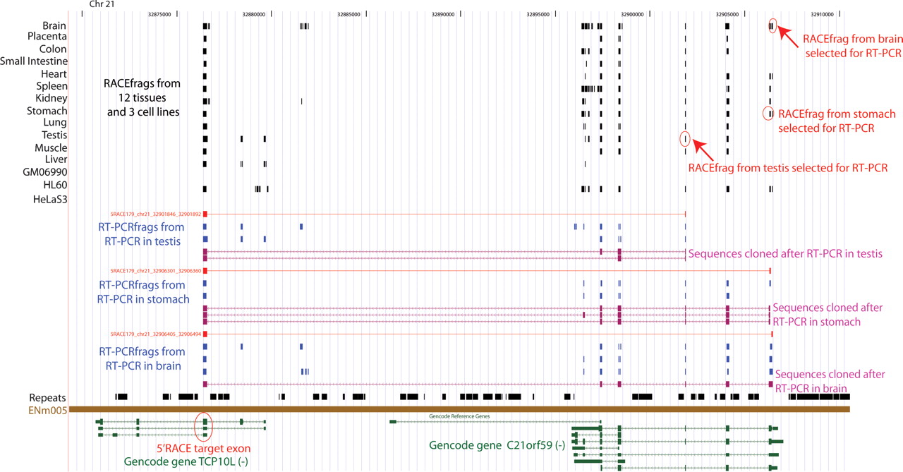746fig3