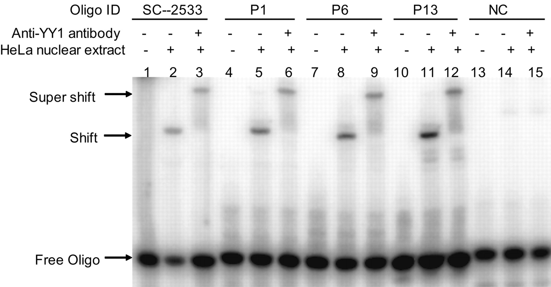 798fig3