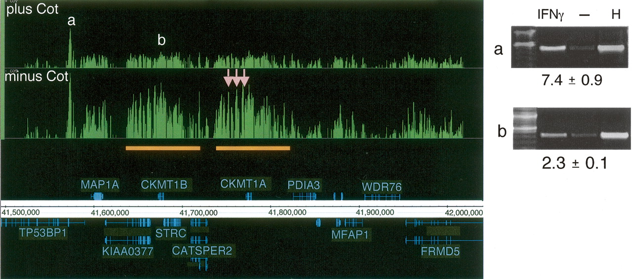 898fig5