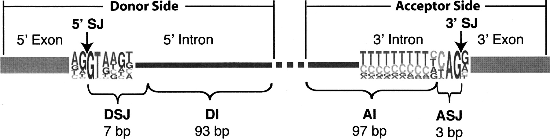 1023fig2