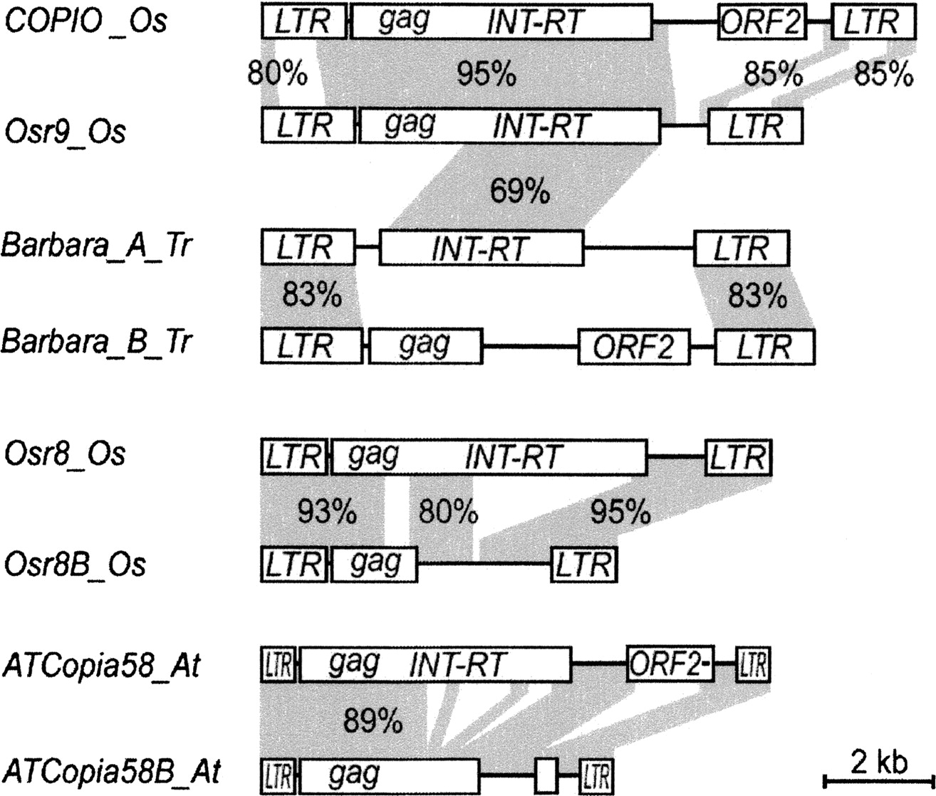 1072fig3