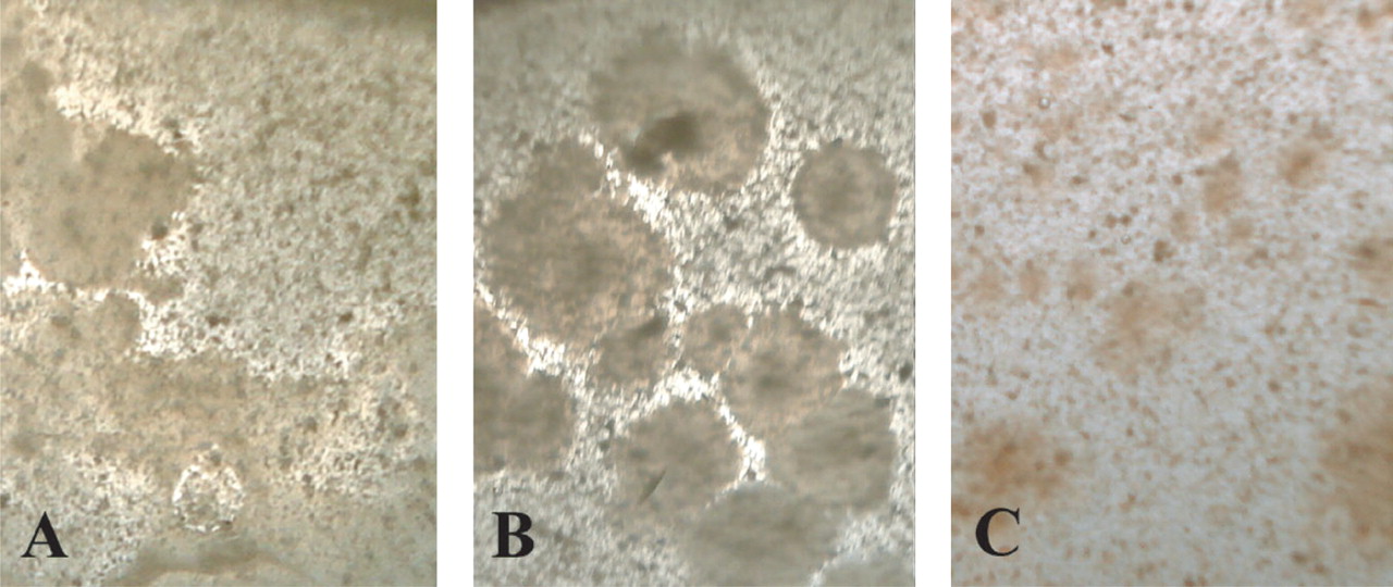 1082fig3