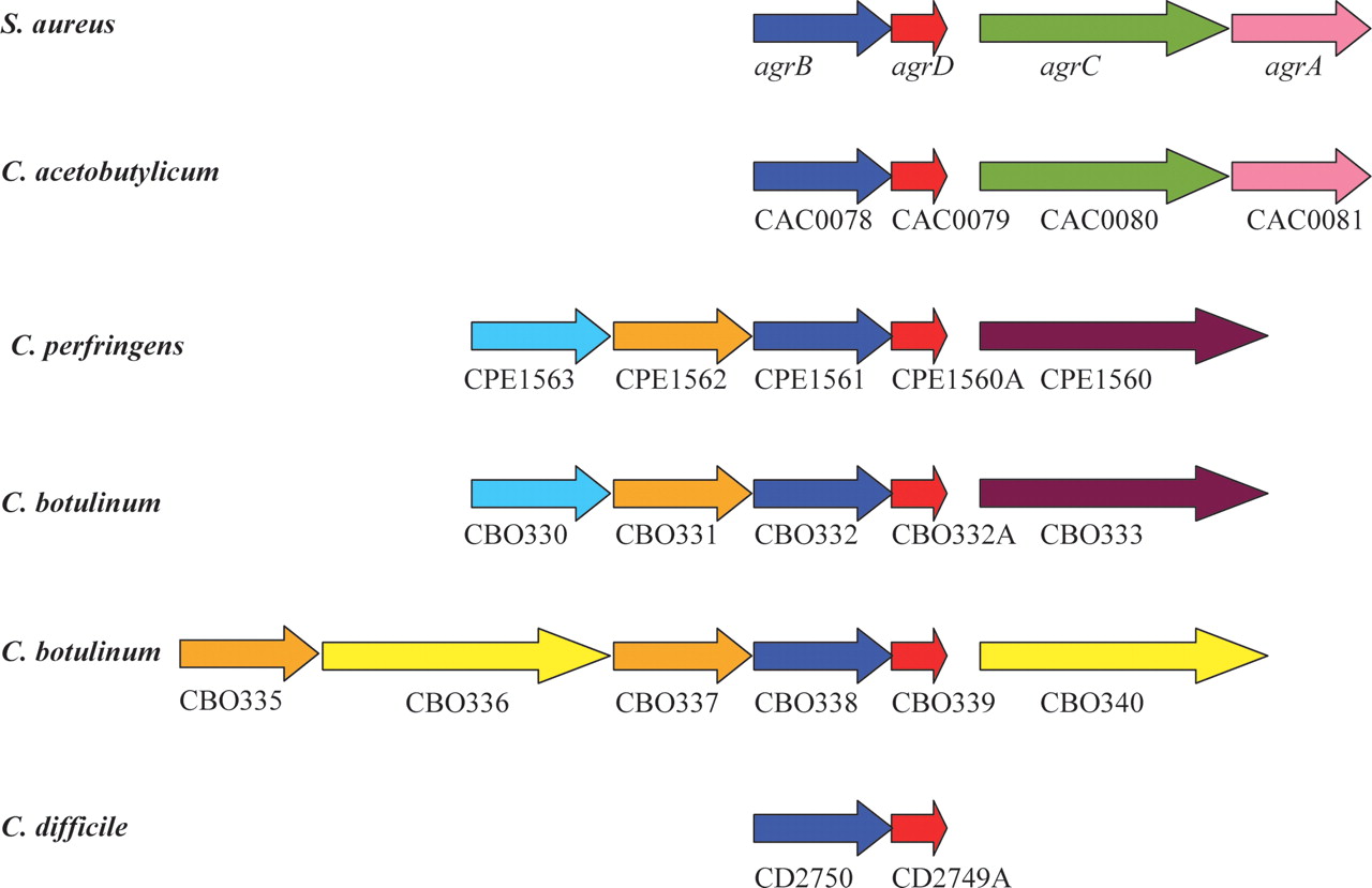 1082fig4