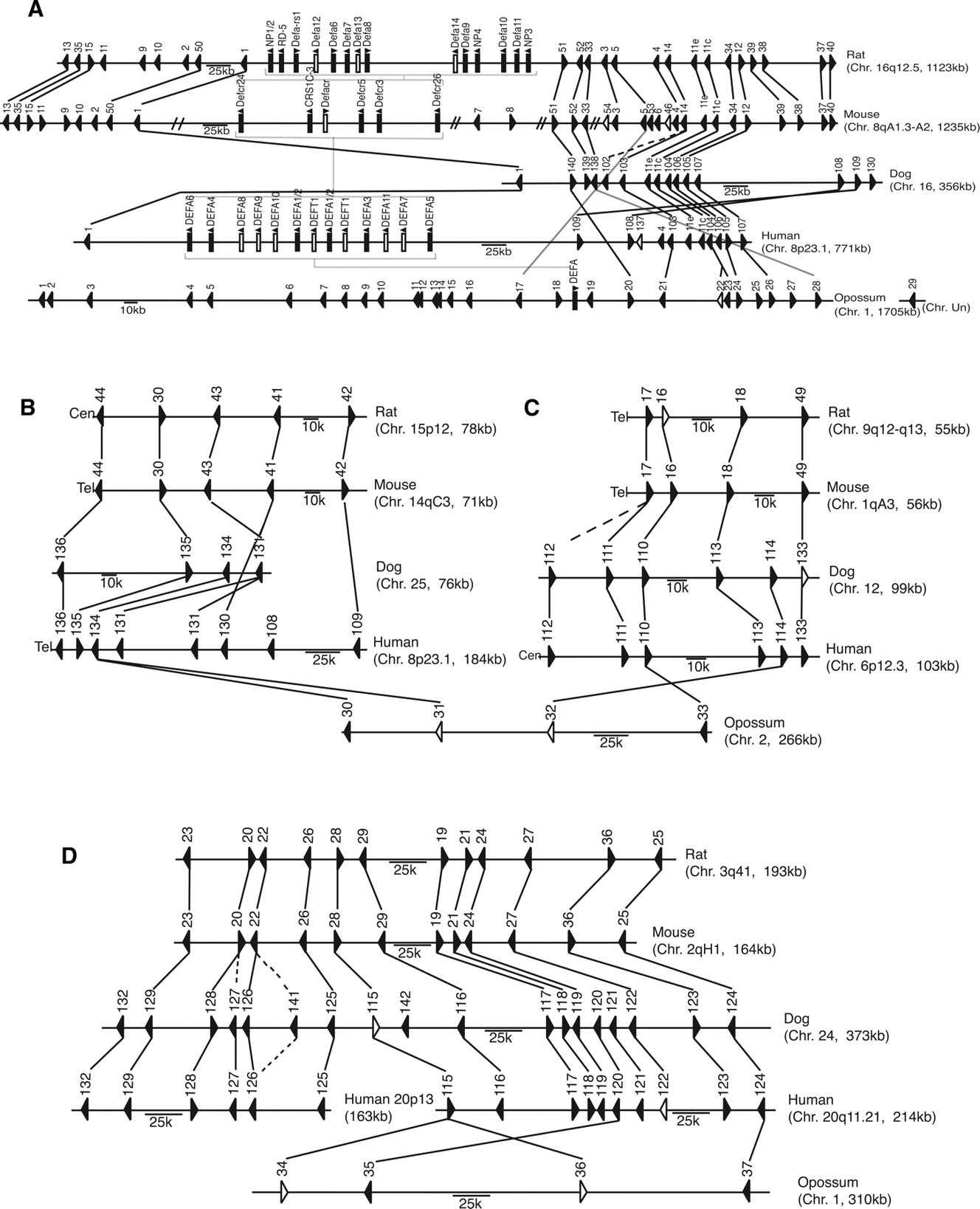 982fig3