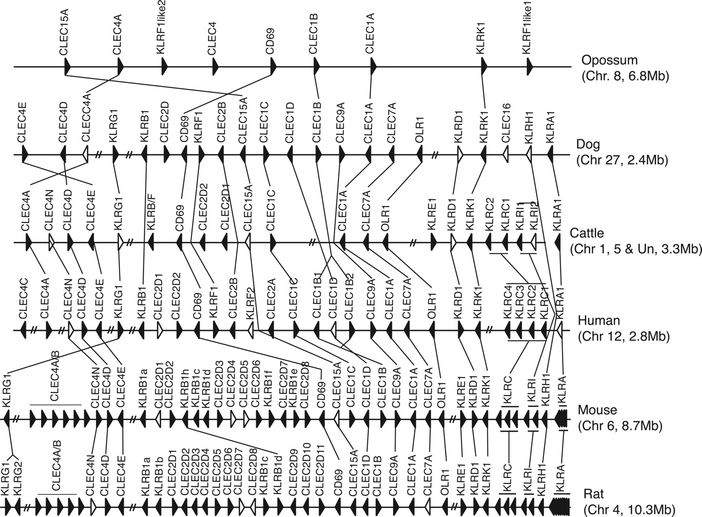 982fig4