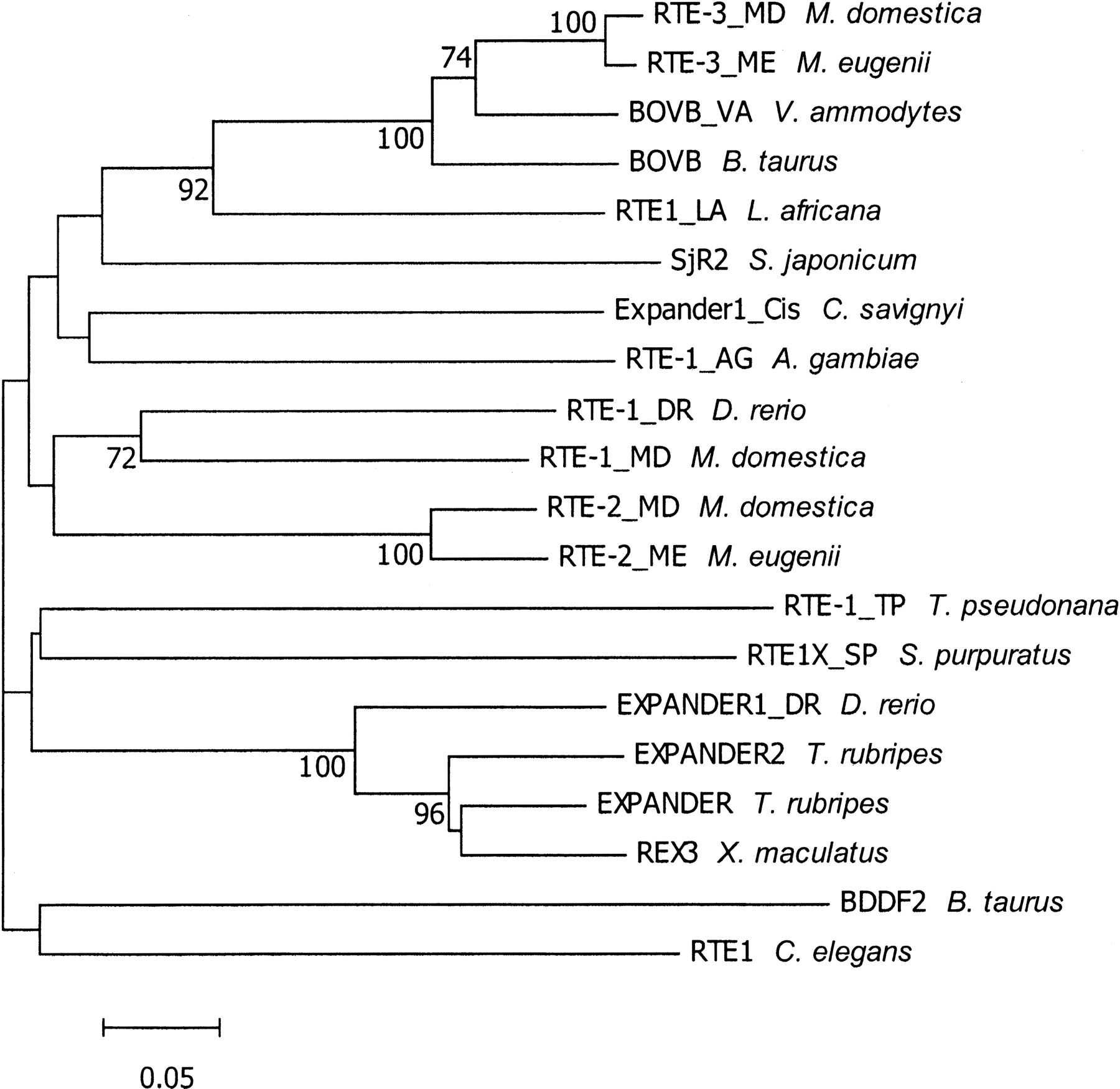 992fig2
