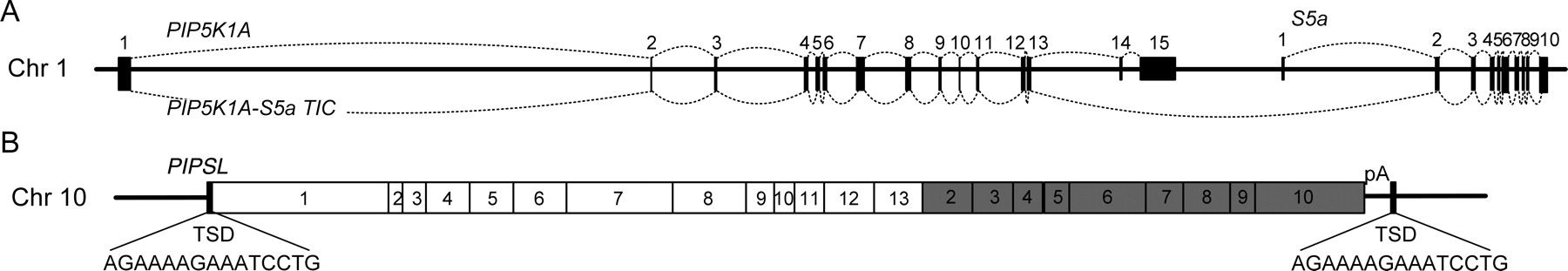 1129fig1